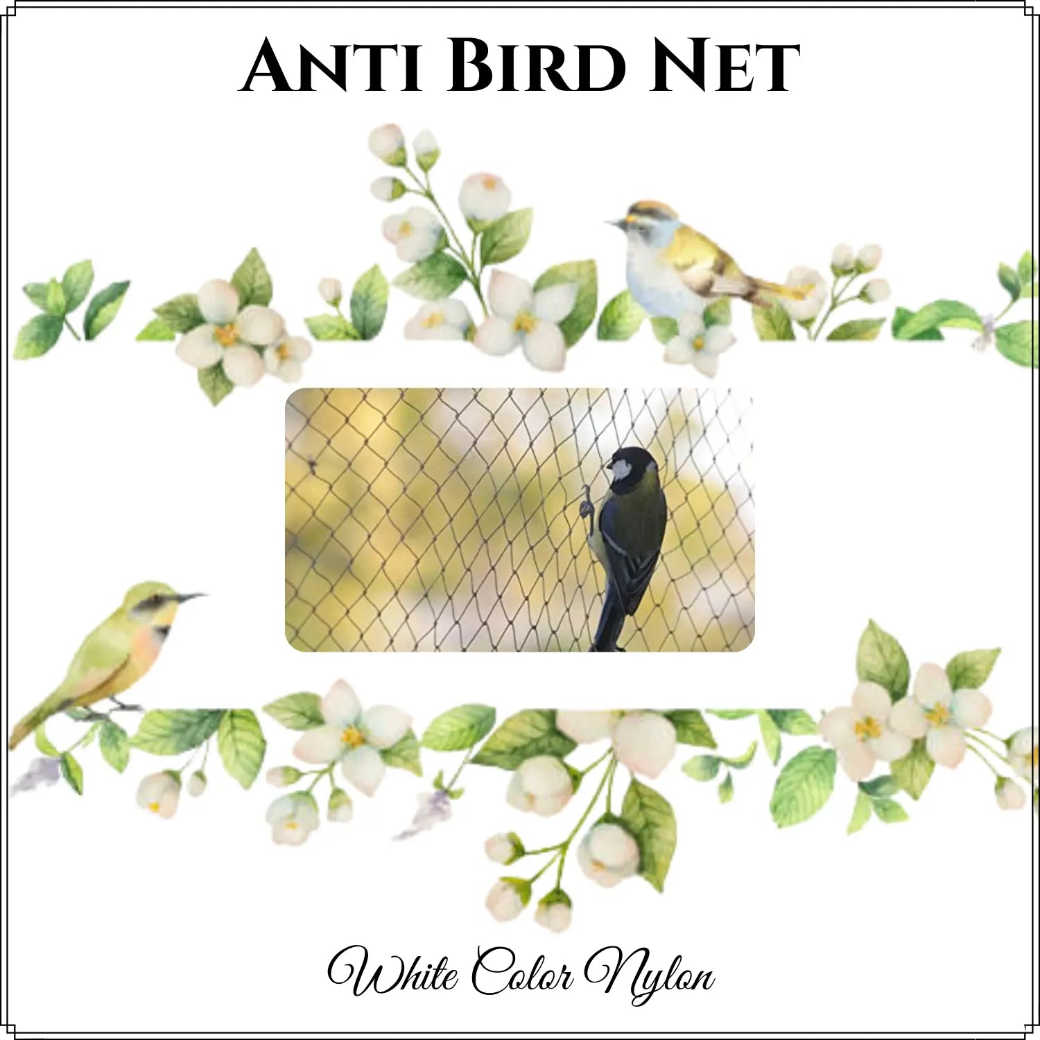 Anti Bird Net,White Color Nylon mesh and (3 mt X 3mt Size)