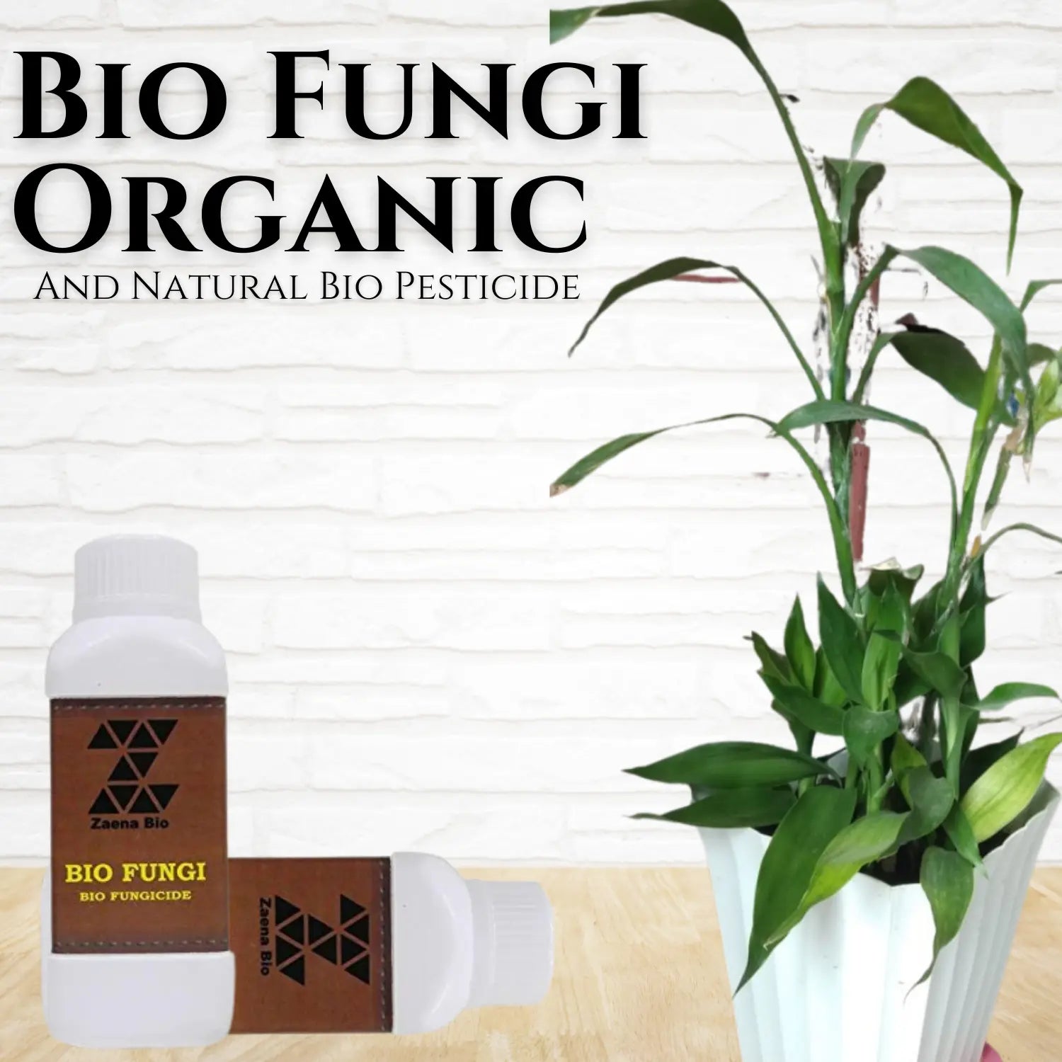 Bio Fungi Organic and Natural Bio Pesticide