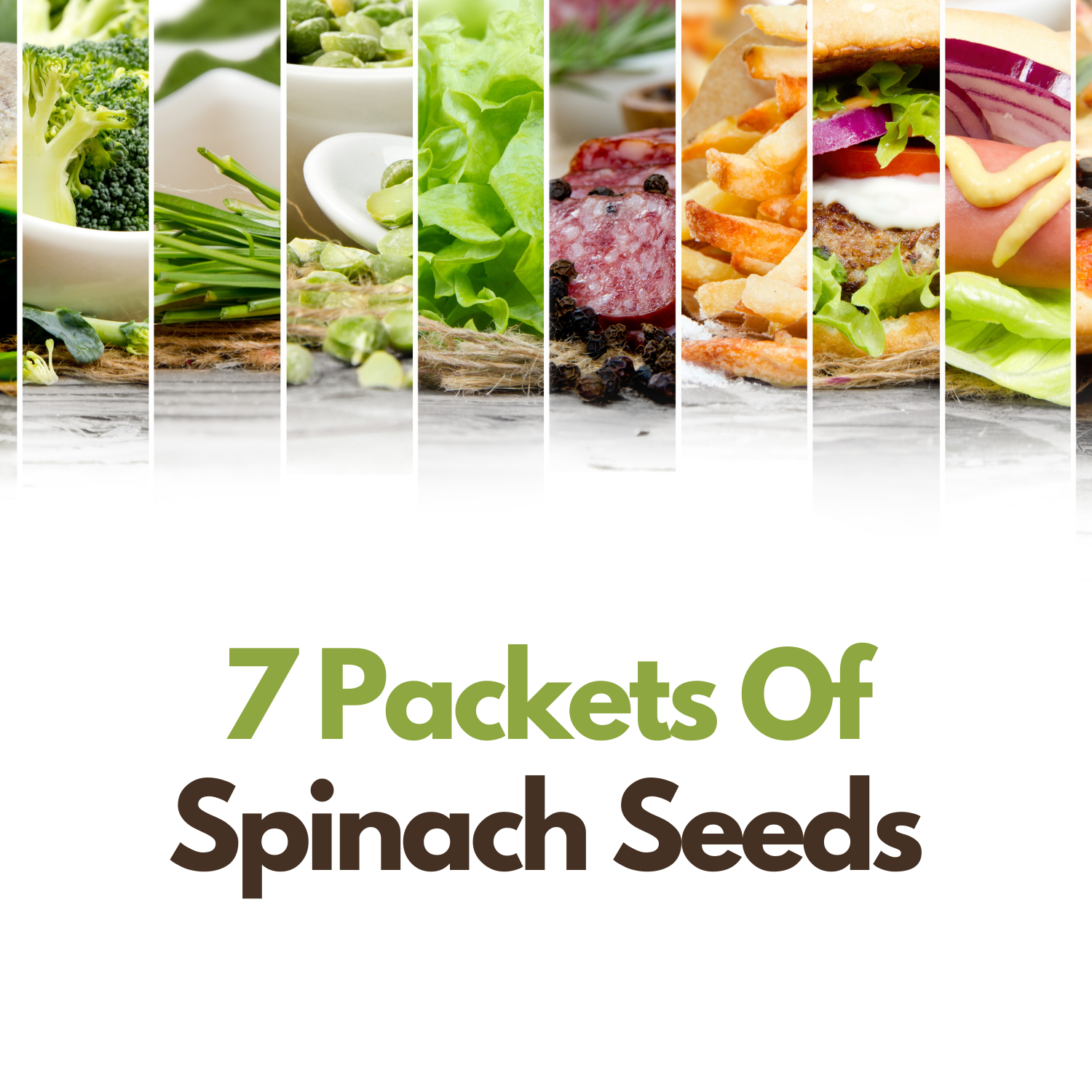 7 Packets Of Spinach Seeds