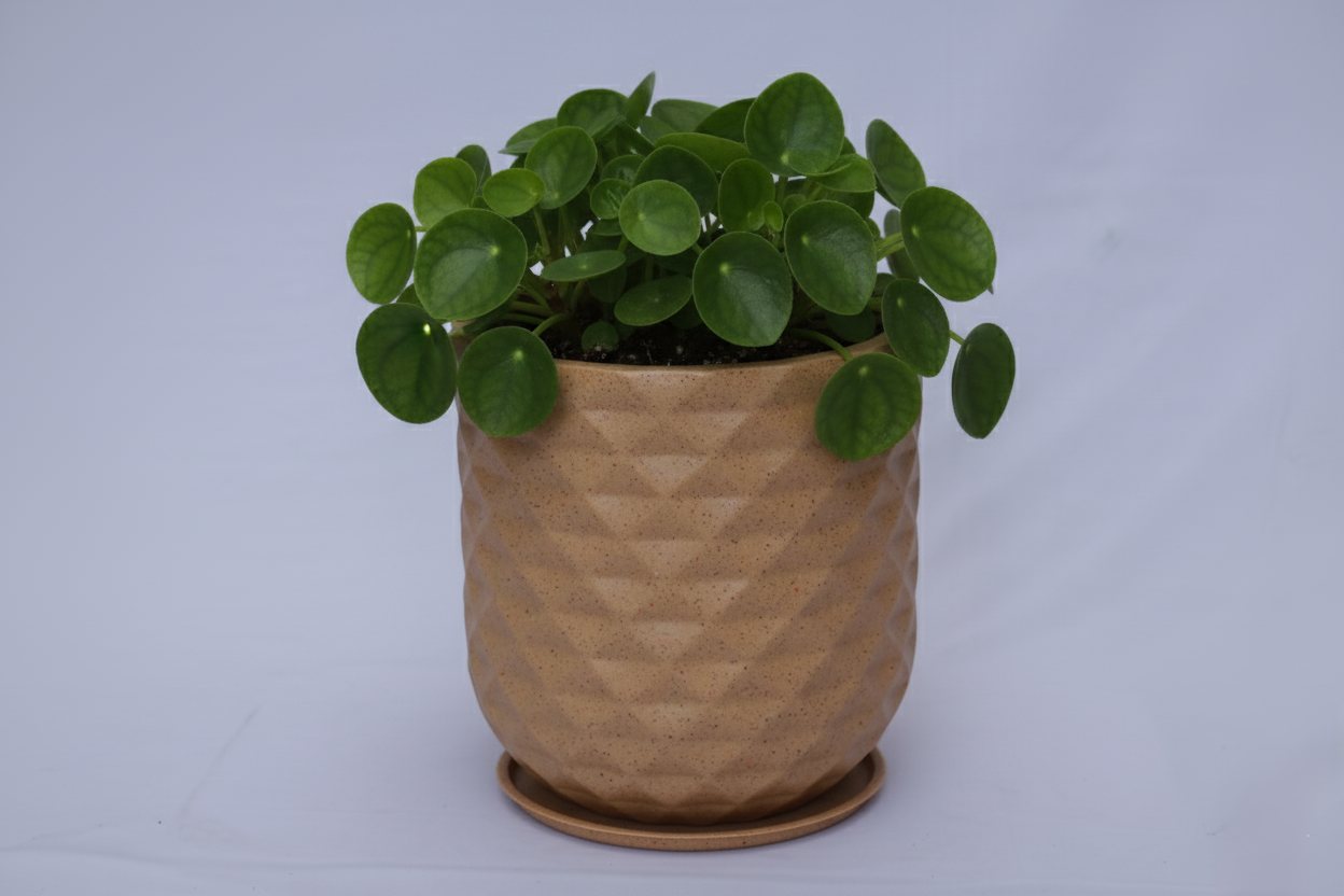 Grandeur - Rotomould Decorative Planter Pot with Diamond Pattern, Garden Container Indoor & Outdoor - Pack of 1