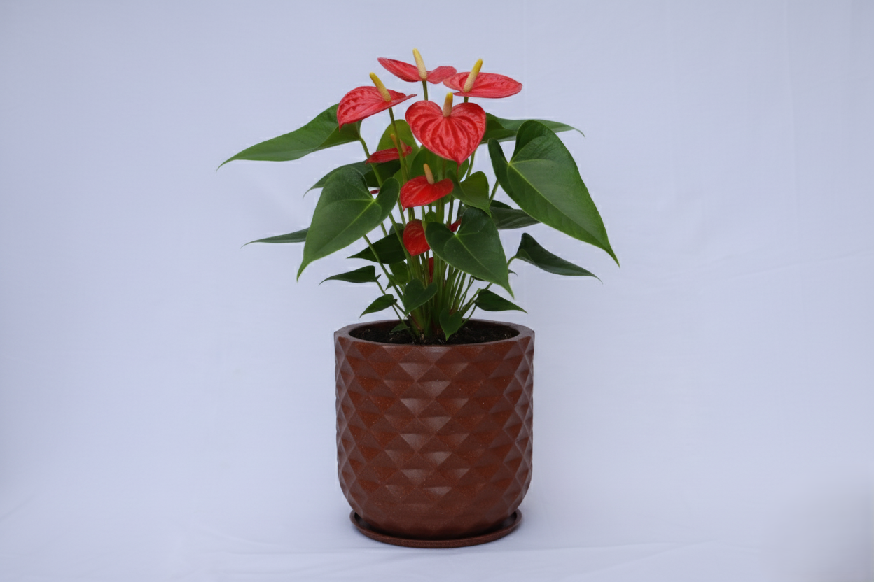 Grandeur - Rotomould Decorative Planter Pot with Diamond Pattern, Garden Container Indoor & Outdoor - Pack of 1