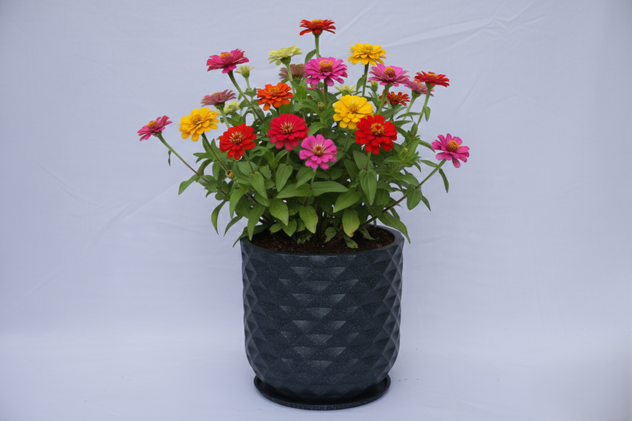 Grandeur - Rotomould Decorative Planter Pot with Diamond Pattern, Garden Container Indoor & Outdoor - Pack of 1
