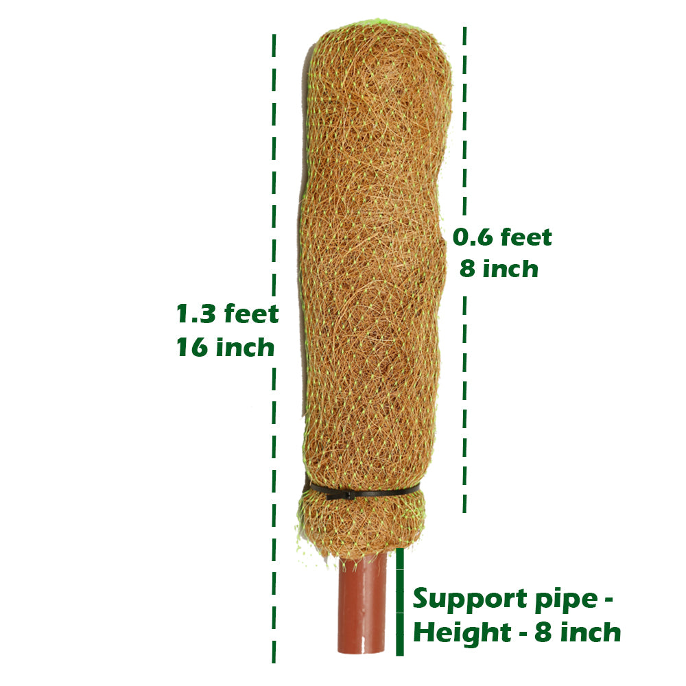 Coco Pole -Moss and Coir Stick for Indoor, House and Plant Creepers Support