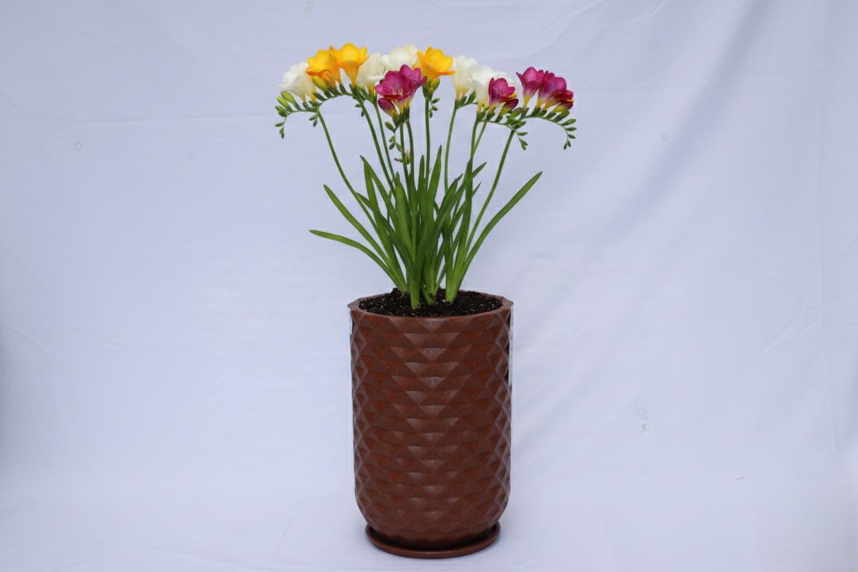 Grandeur - Rotomould Decorative Planter Pot with Diamond Pattern, Garden Container Indoor & Outdoor - Pack of 1