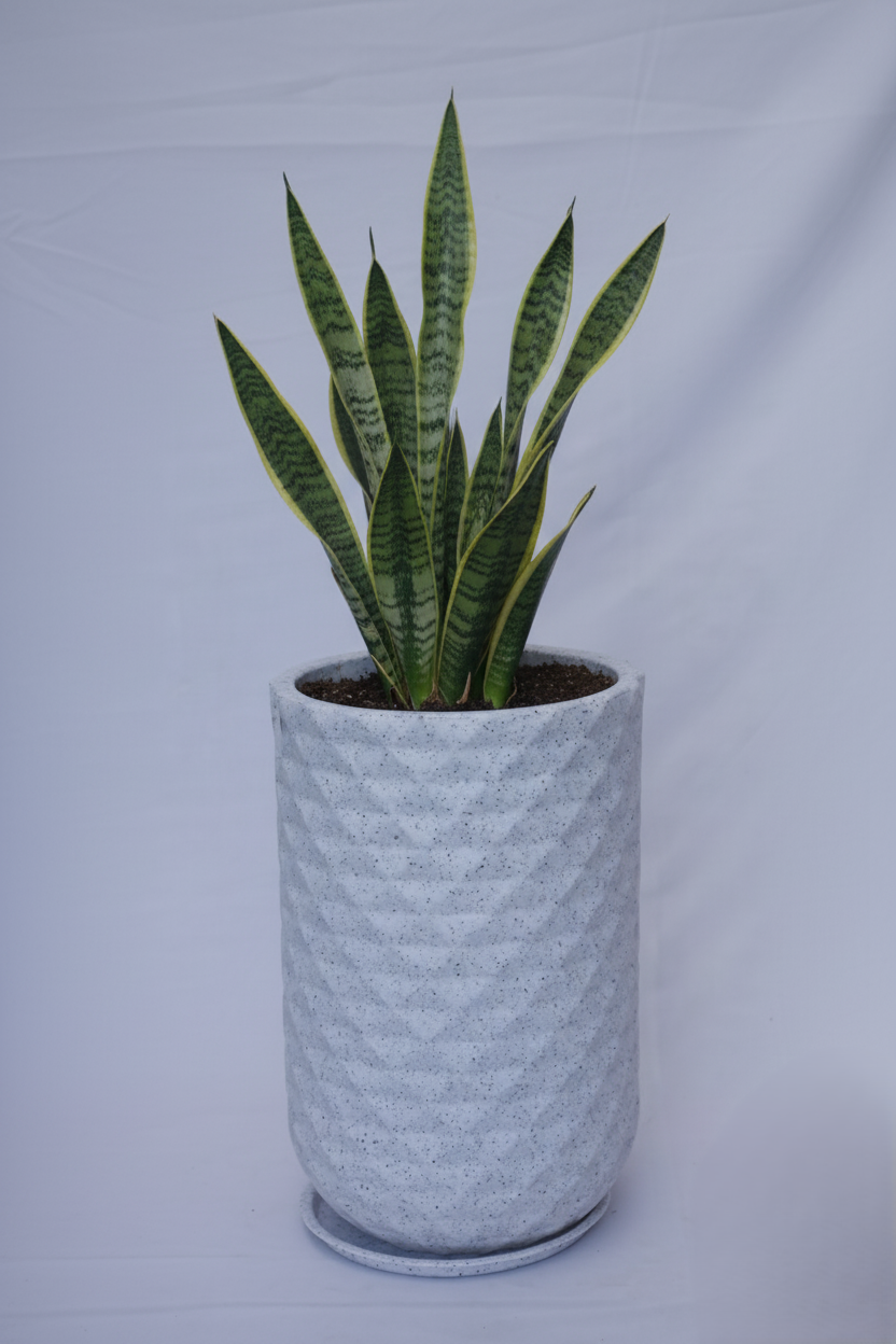 Grandeur - Rotomould Decorative Planter Pot with Diamond Pattern, Garden Container Indoor & Outdoor - Pack of 1