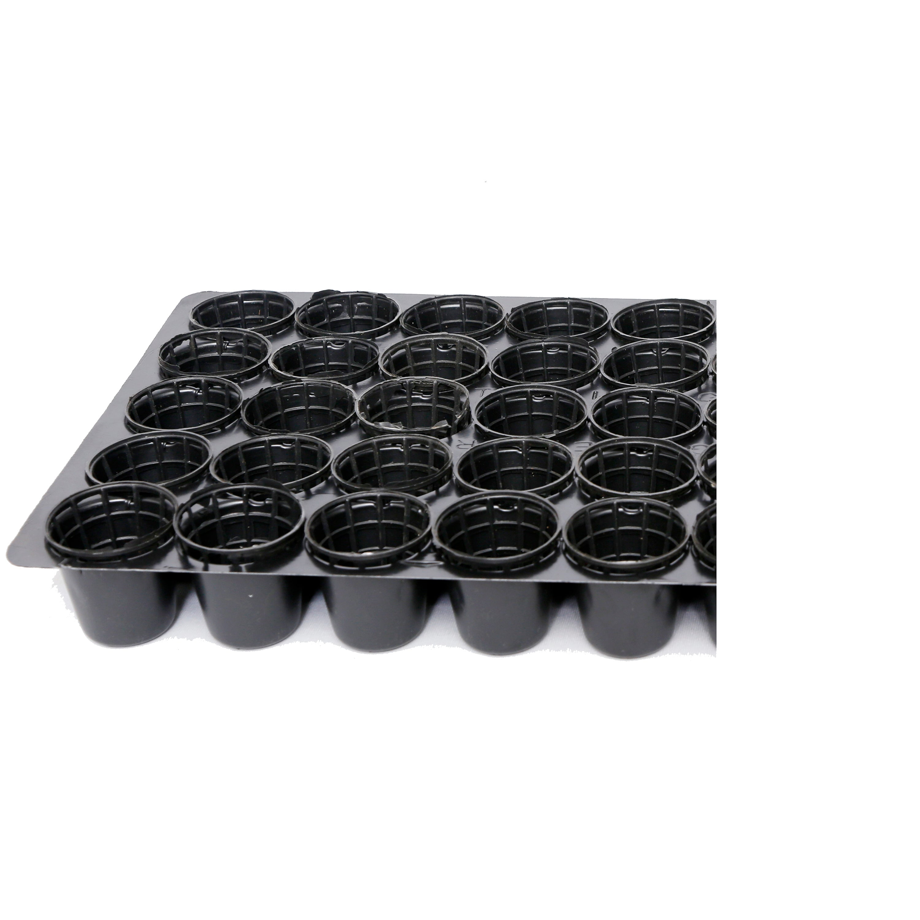 Seedlying tray 25 with Net Pots pack of 10 tray sets