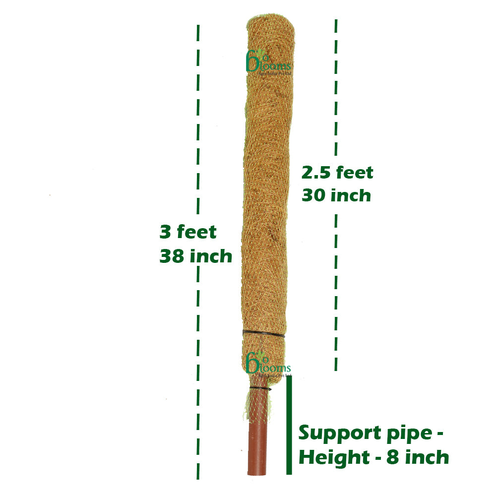 Coco Pole -Moss and Coir Stick for Indoor, House and Plant Creepers Support