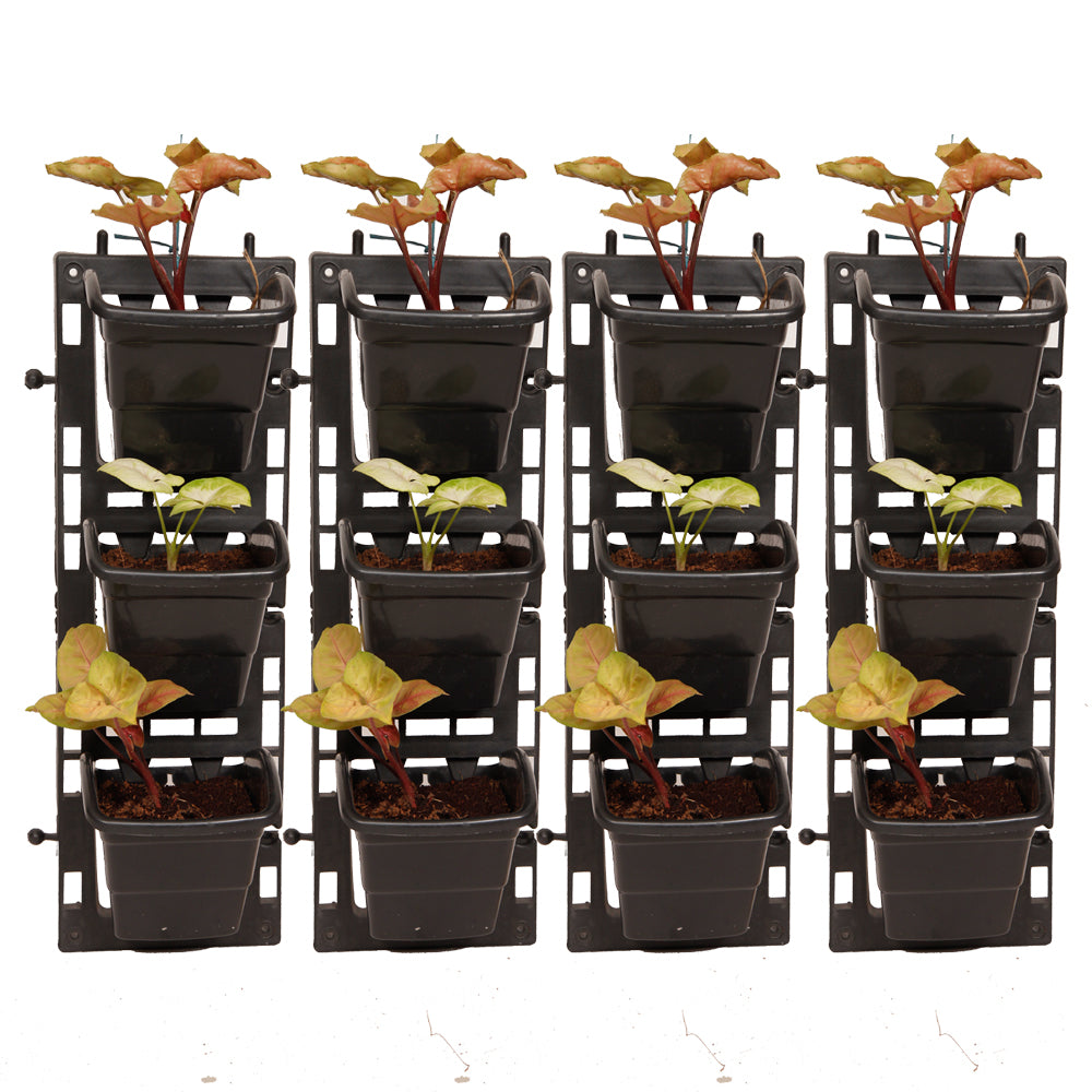 Vertical garden bio wall garden panel set M2 model  black / Brown / Green panel + color pots