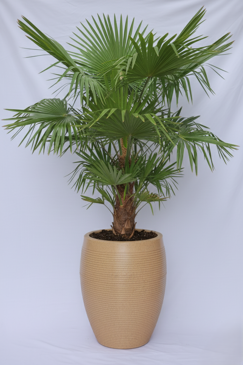 Vetro Vase - Rotomould Decorative Plastic Planter Pots, Ribbed Design, Round, Indoor & Outdoor Garden Use Pack of 1