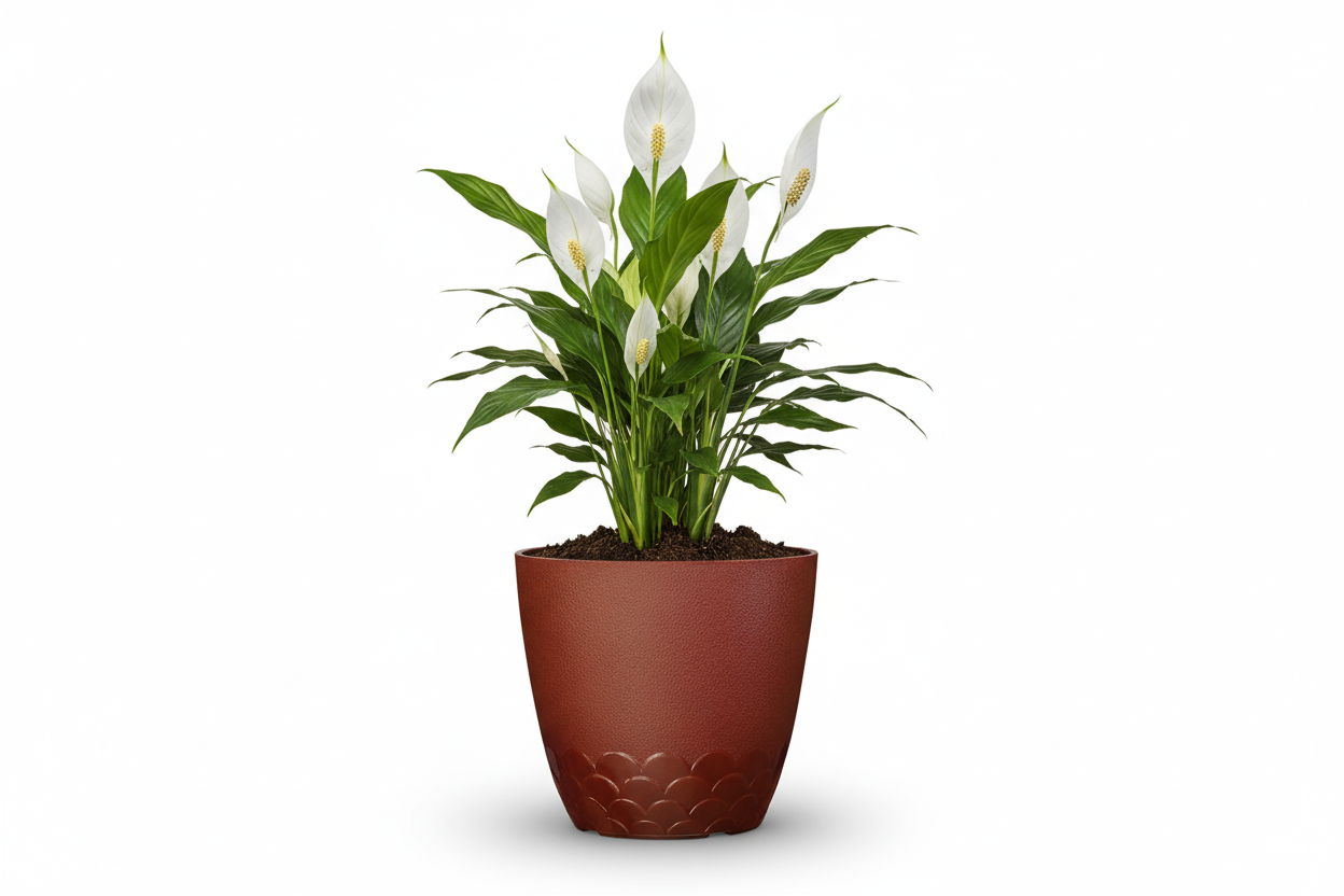 Flora Pot - Decorative Plastic Planter Pot with Scalloped Pattern, Indoor & Outdoor Garden Container - Pack Of 2