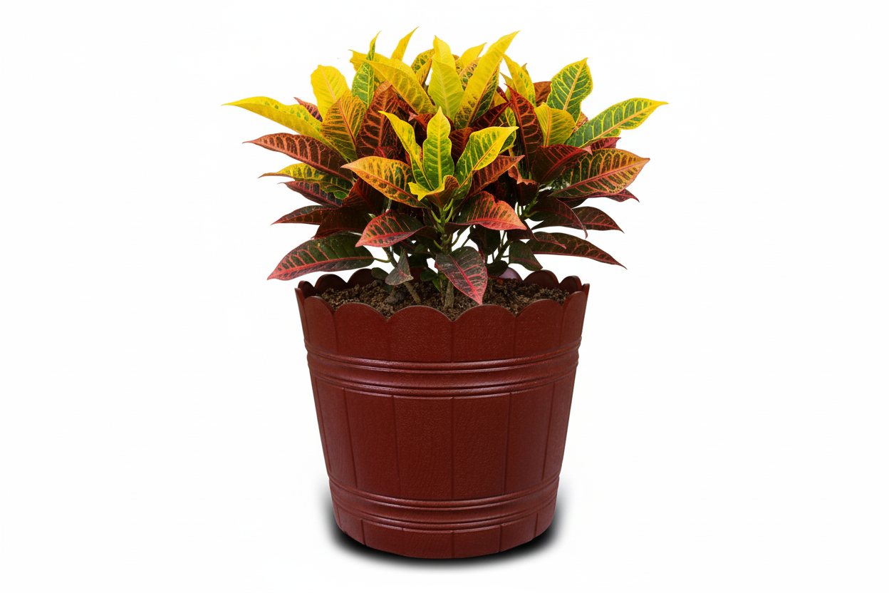Loto Pot - Decorative Plastic Flower Pot with Scalloped Edge Design, Round Planter for Indoor and Outdoor Garden Use - Pack of 2