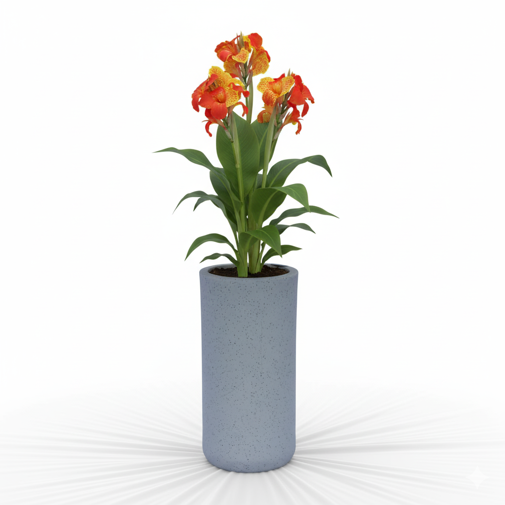Angola Planter - Garden's Need