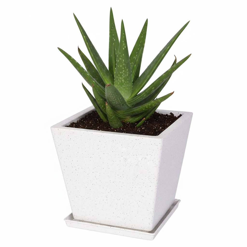 Greece Planter With Trays - Garden's Need