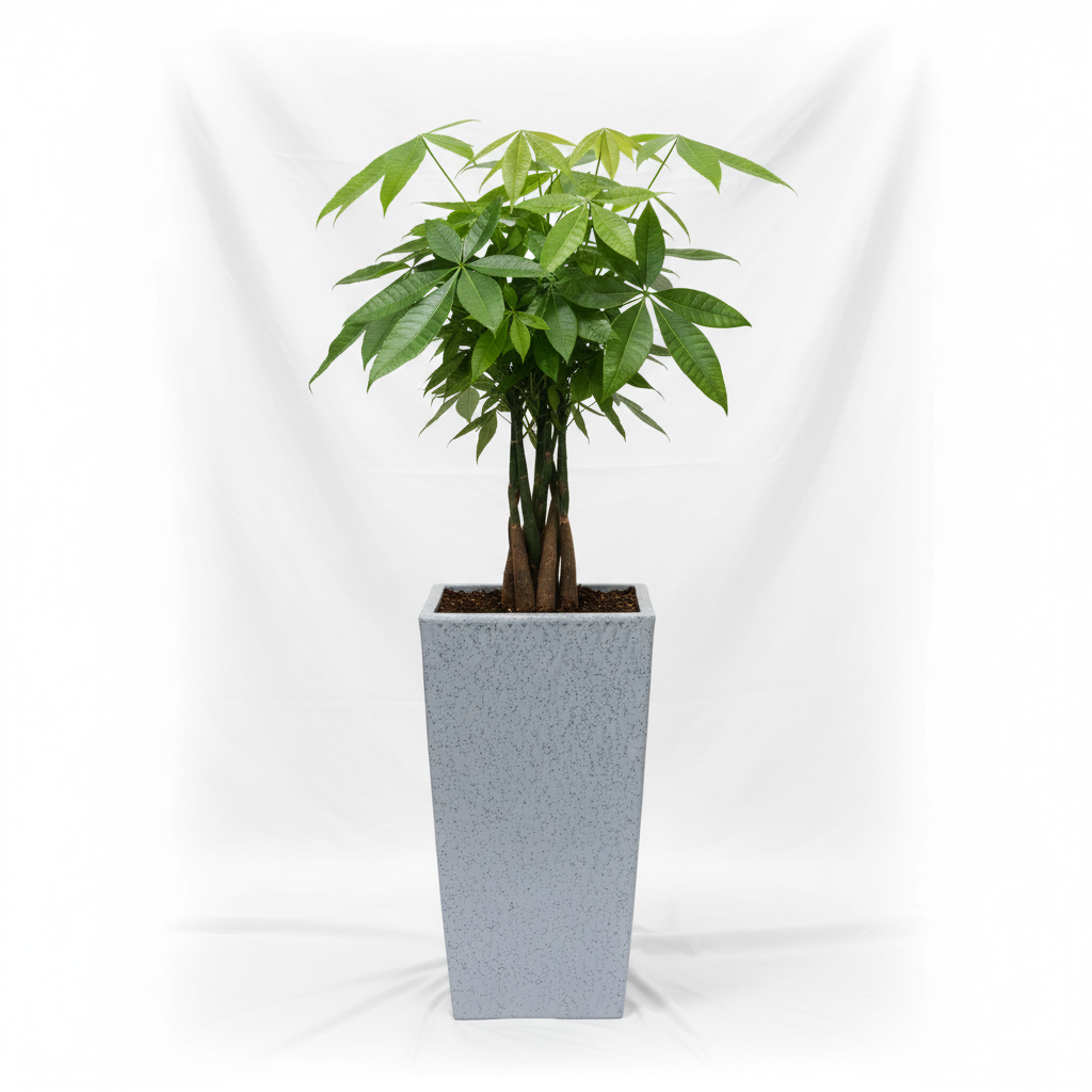 Luxer Planter With Trays - Garden's Need