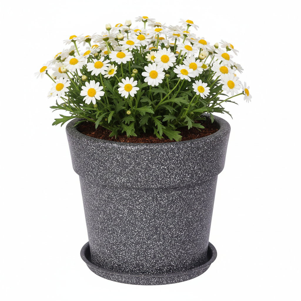 Maxxi Planters With Trays - Garden's Need