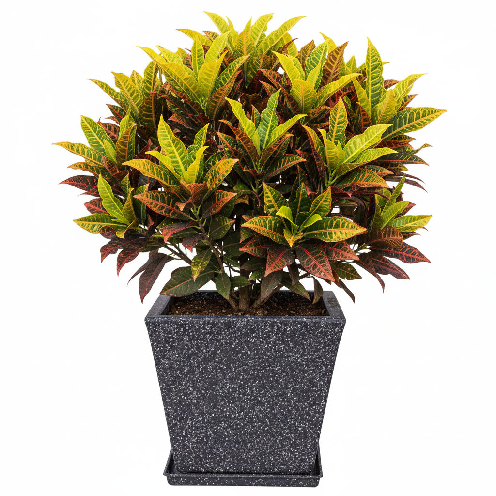 Greece Planter With Trays - Garden's Need