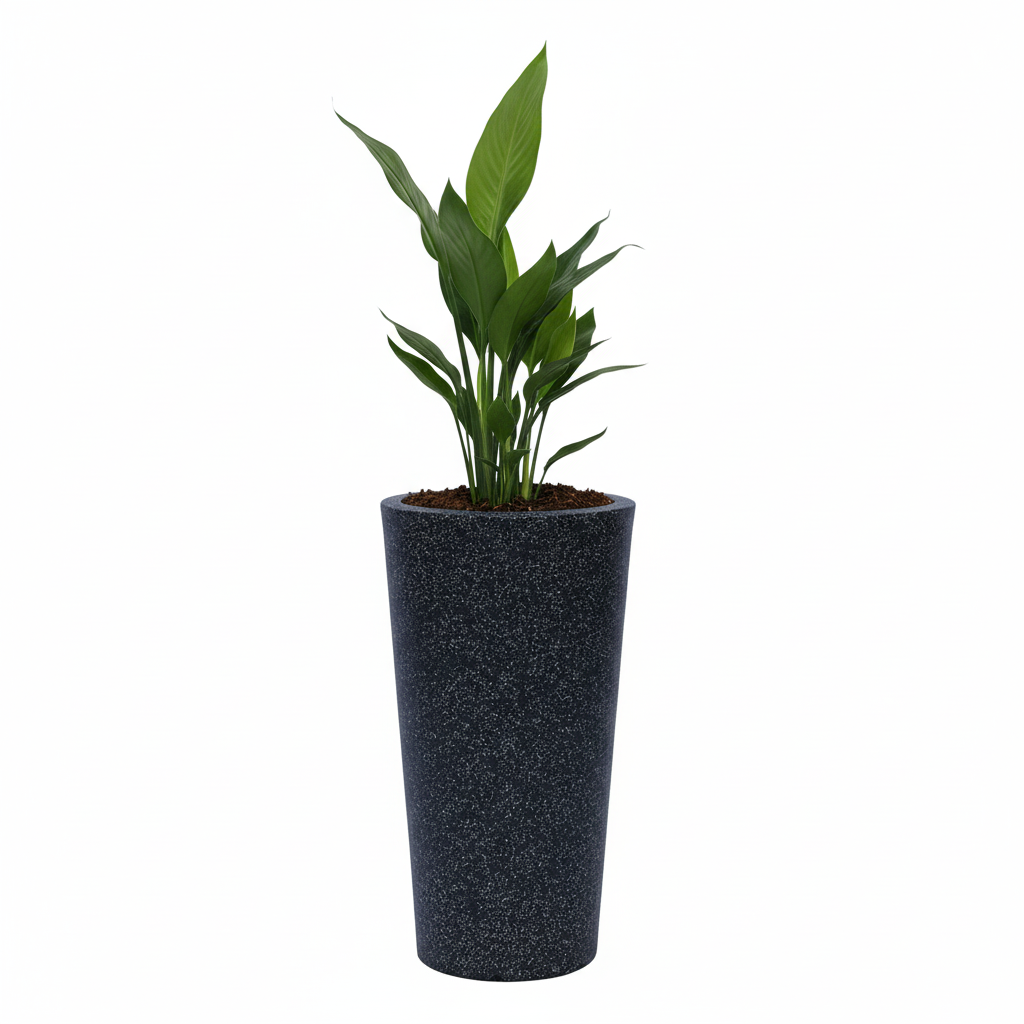 Quality Planter With Trays - Garden's Need