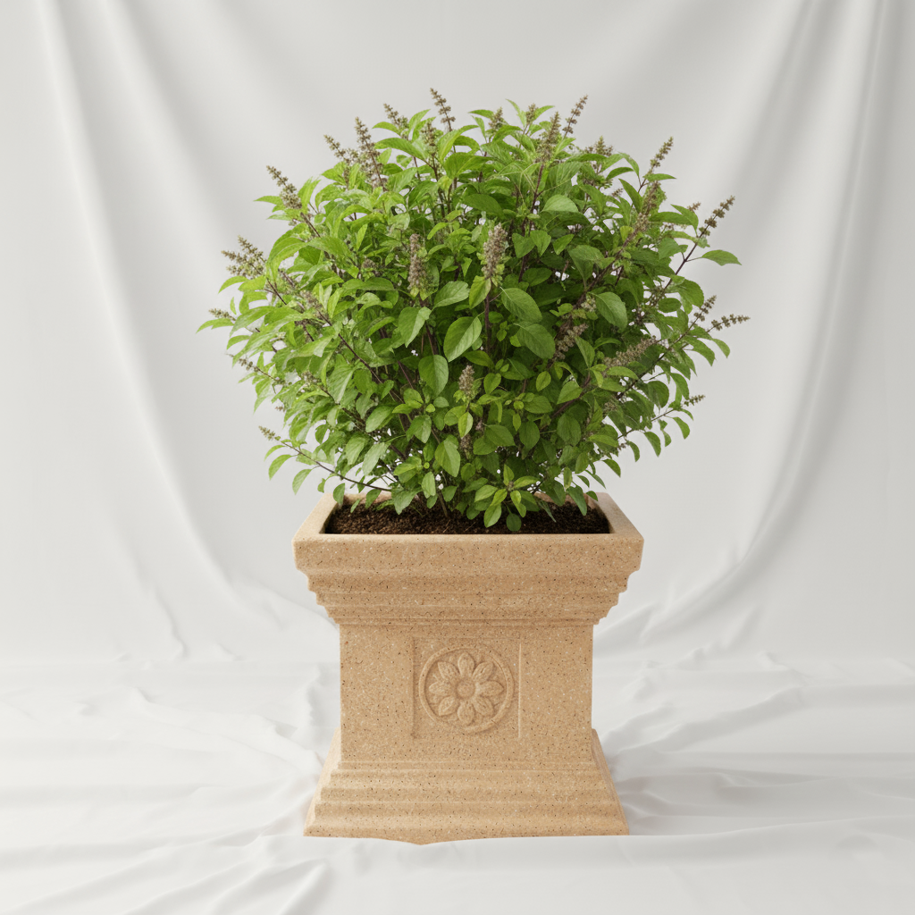 Tulsi Planters - Garden's Need