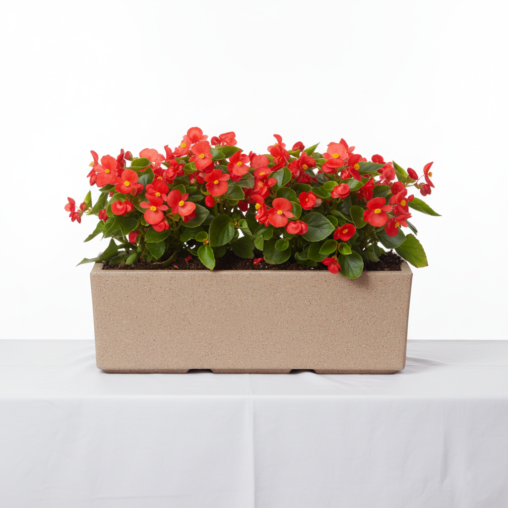 France Planter With Wheel - Garden's Need