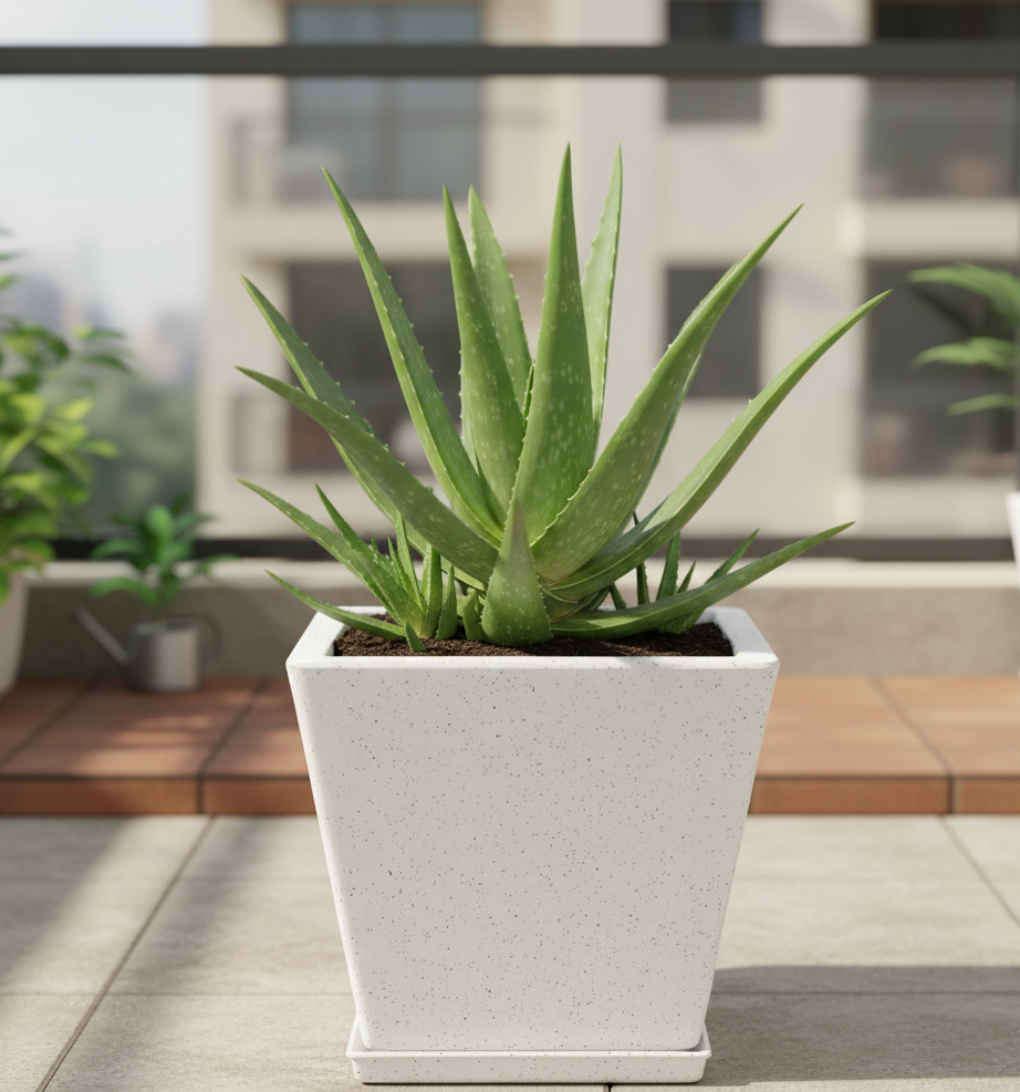 Greece Planter With Trays - Garden's Need