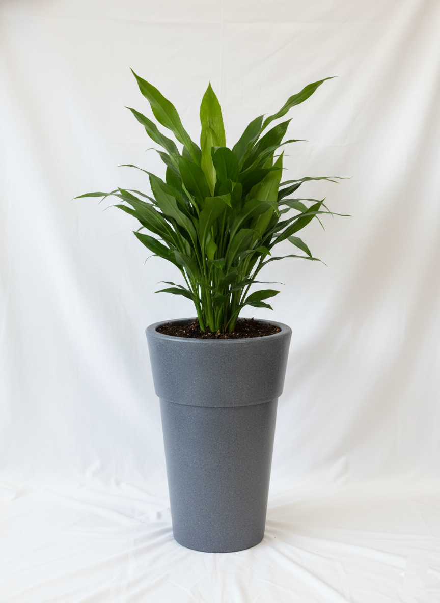 Paradise Planter - Garden's Need