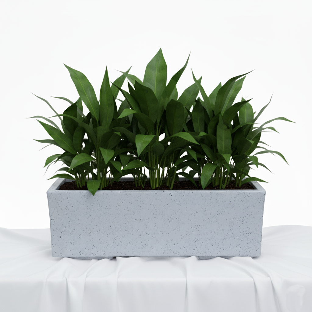France Planter With Wheel - Garden's Need