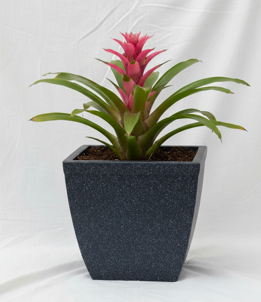 Paris Square Planter With Trays - Garden's Need