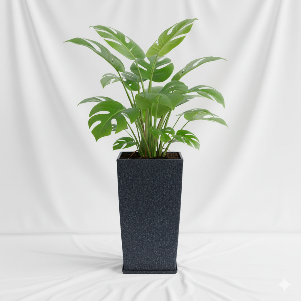 Luxer Planter With Trays - Garden's Need