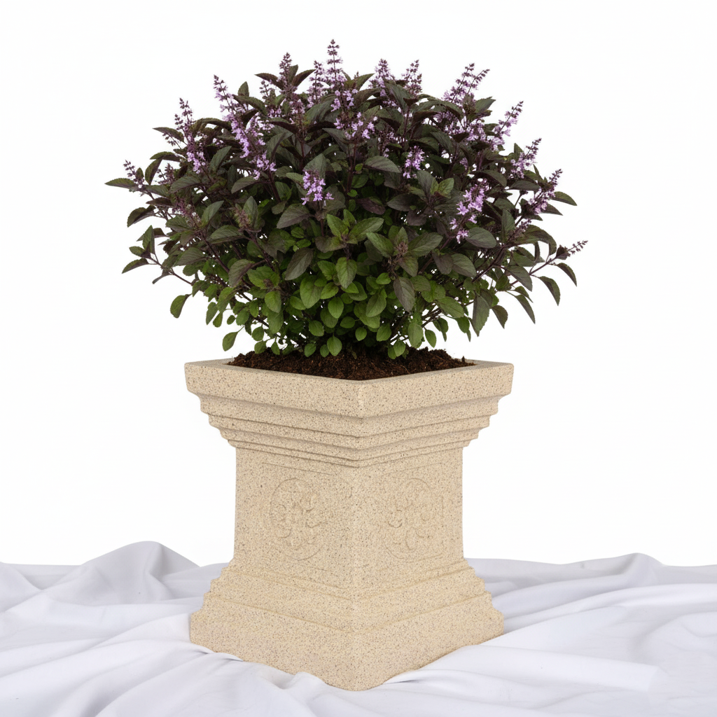 Tulsi Planters - Garden's Need