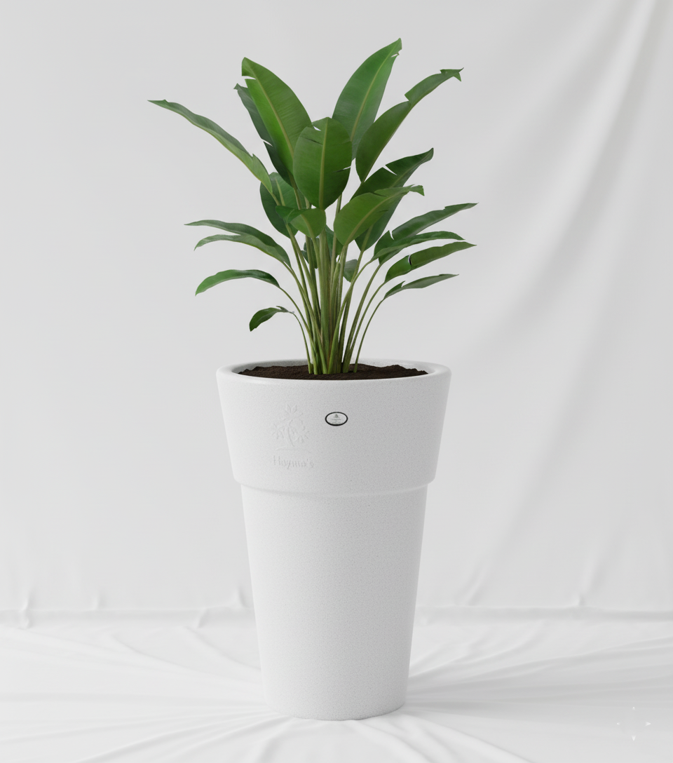 Paradise Planter - Garden's Need