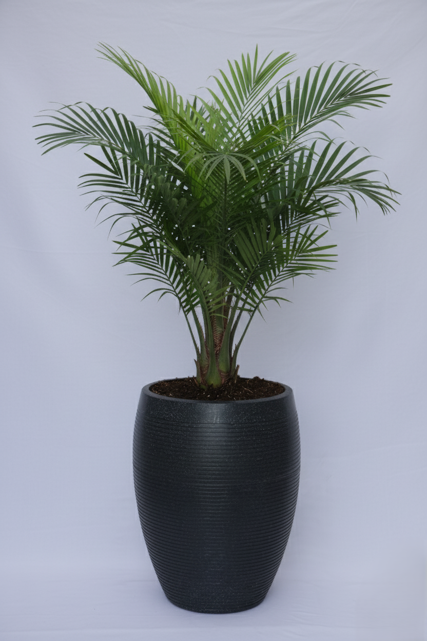 Vetro Vase - Rotomould Decorative Plastic Planter Pots, Ribbed Design, Round, Indoor & Outdoor Garden Use Pack of 1