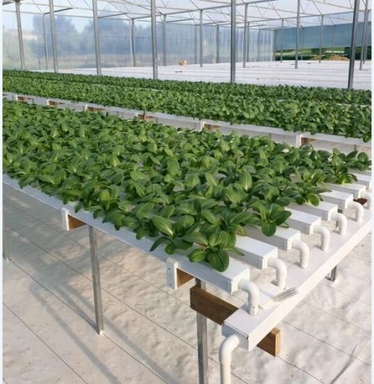 Hydroponics NFT closed chanel 6 meters x pack of 10 pcs