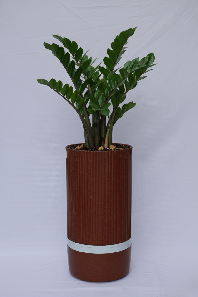 I Aura - Rotomould Planter Pots, Durable Plastic, Round, Indoor & Outdoor Garden Use - Pack of 1