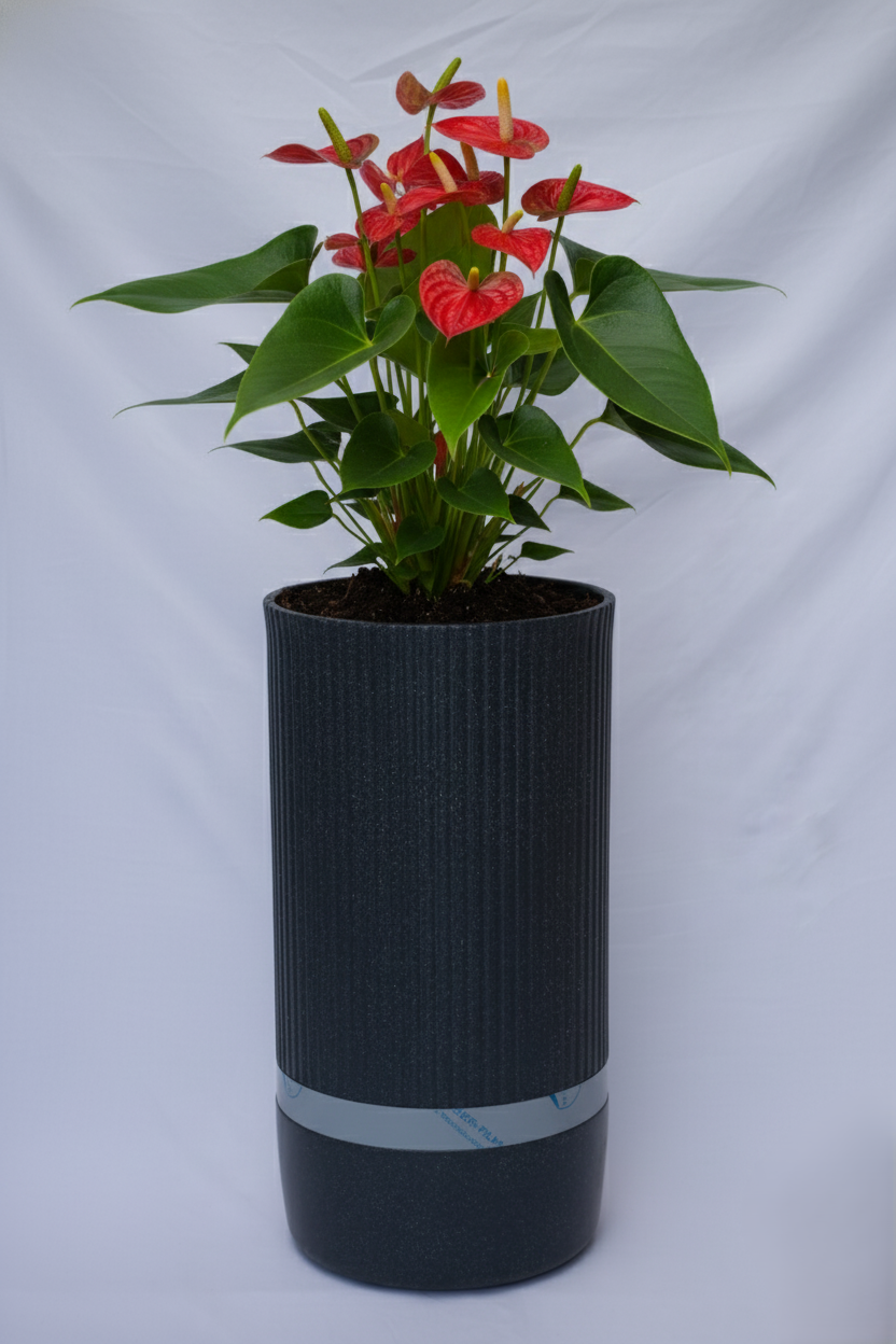 I Aura - Rotomould Planter Pots, Durable Plastic, Round, Indoor & Outdoor Garden Use - Pack of 1
