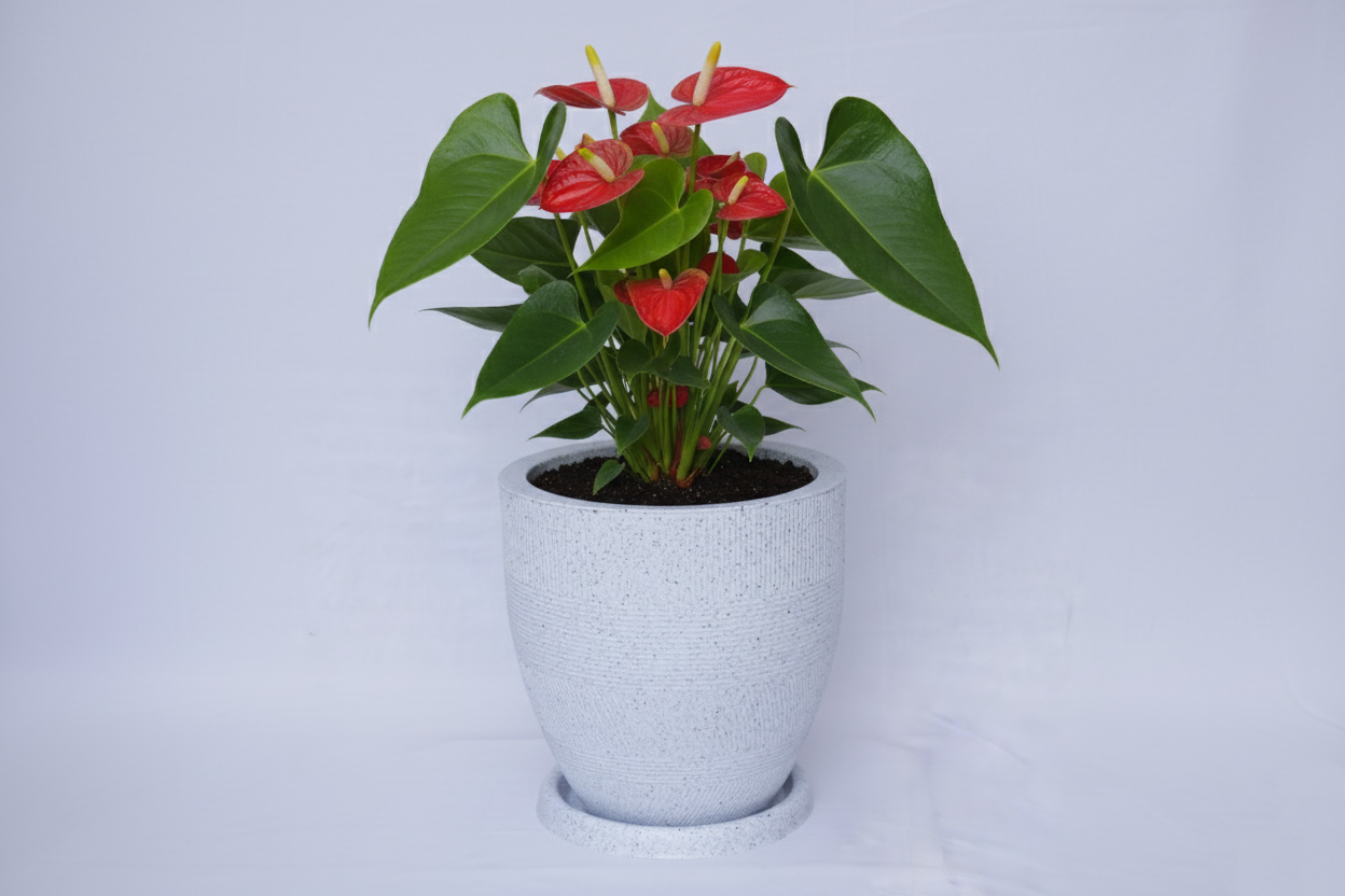 Linear Planters - Modern Decorative Garden Planter Pot with Saucer, Textured Design - Pack of 1