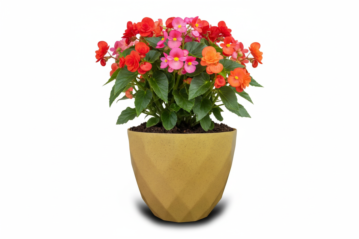 Sapphire Pot - Modern Geometric Decorative Planter Pot, Diamond Pattern Design, Plastic, Indoor & Outdoor Plant Container - Pack of 2