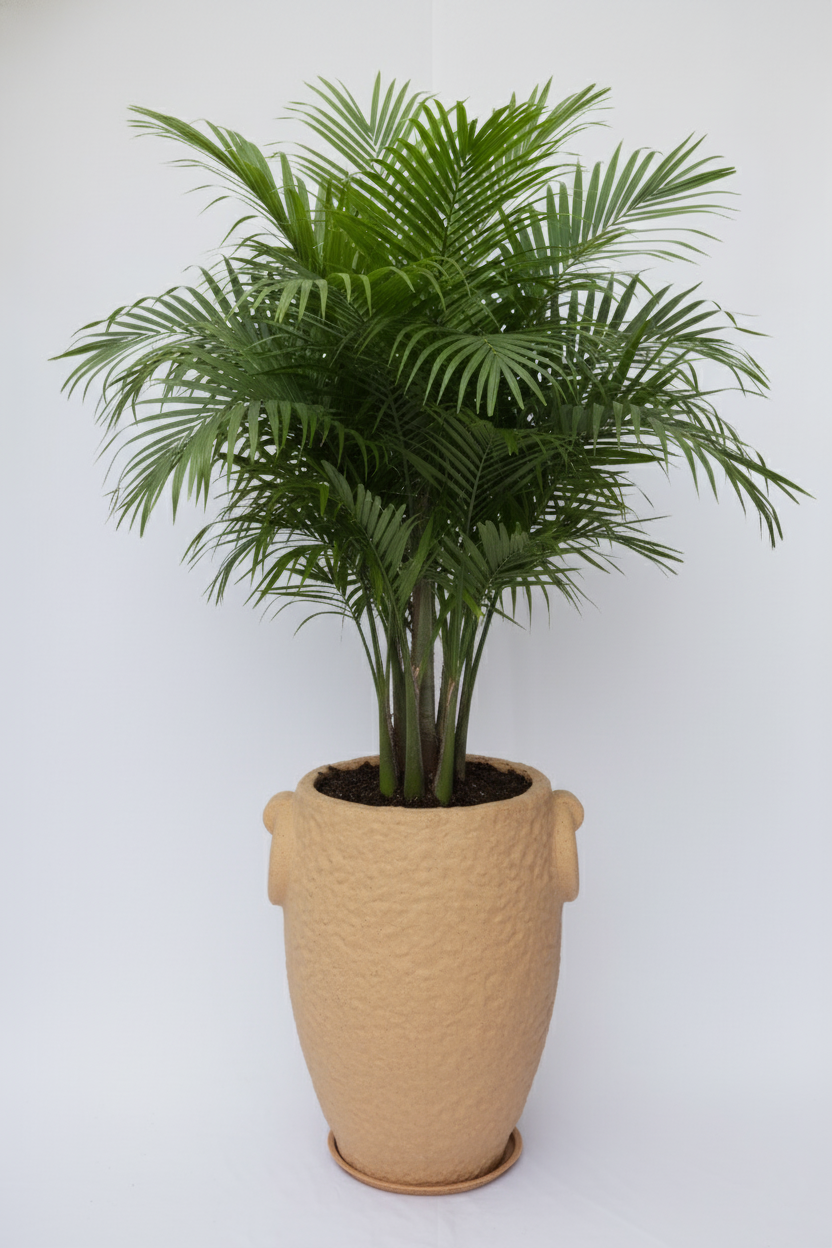 Prachin Stambh - Rotomoulded Garden Planter Pot, Textured Finish, Outdoor & Indoor Use - Pack of 1