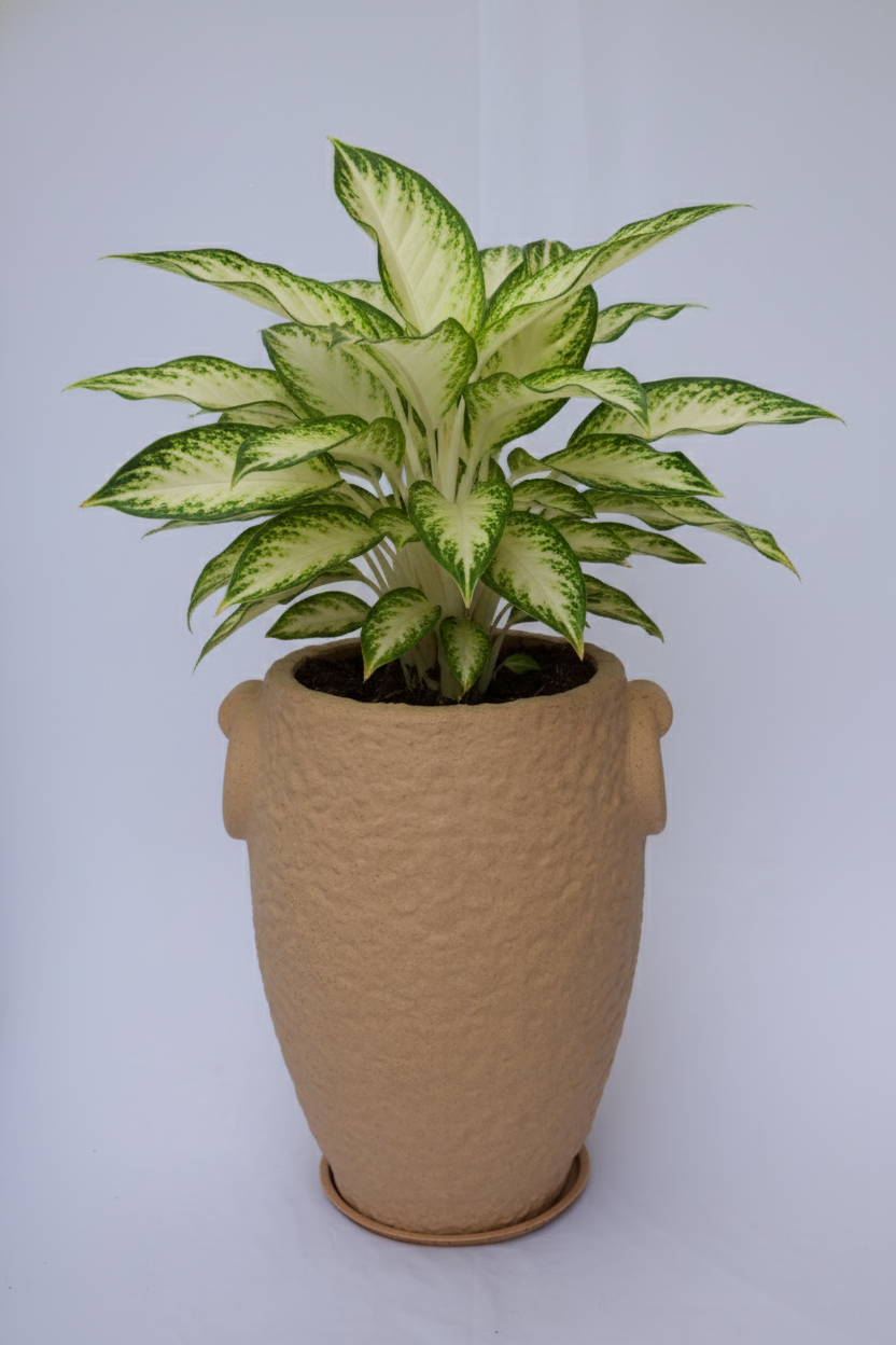 Prachin Stambh - Rotomoulded Garden Planter Pot, Textured Finish, Outdoor & Indoor Use - Pack of 1