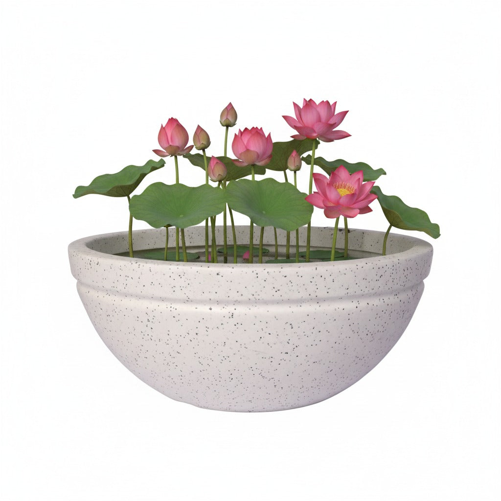 Lotus Planter - Garden's Need