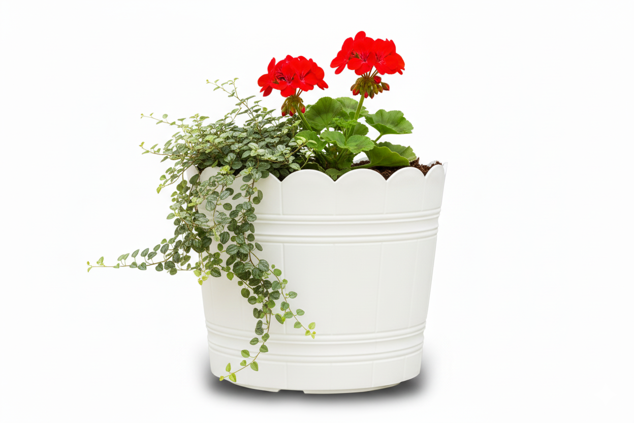 Loto Pot - Decorative Plastic Flower Pot with Scalloped Edge Design, Round Planter for Indoor and Outdoor Garden Use - Pack of 2