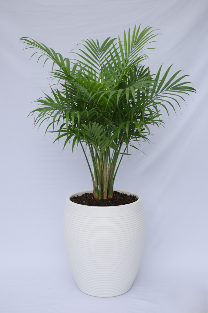 Vetro Vase - Rotomould Decorative Plastic Planter Pots, Ribbed Design, Round, Indoor & Outdoor Garden Use Pack of 1