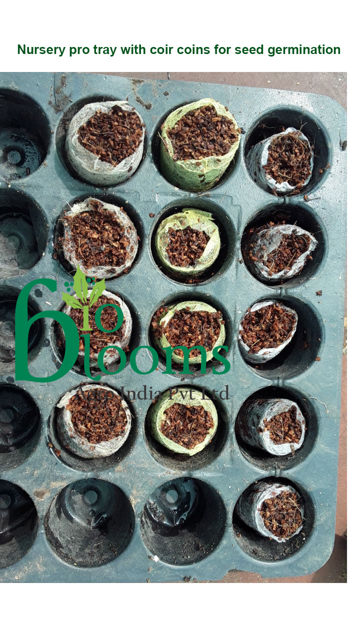 Seedlying tray 50 with Net Pots pack of 10 tray sets