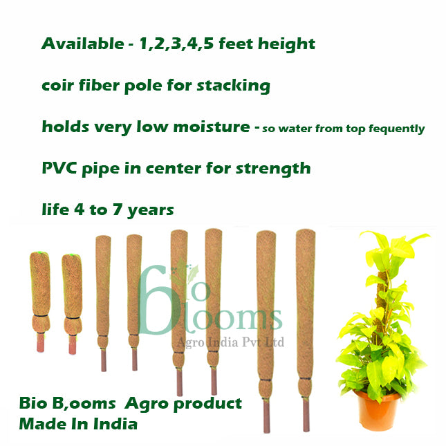 Coco Pole -Moss and Coir Stick for Indoor, House and Plant Creepers Support