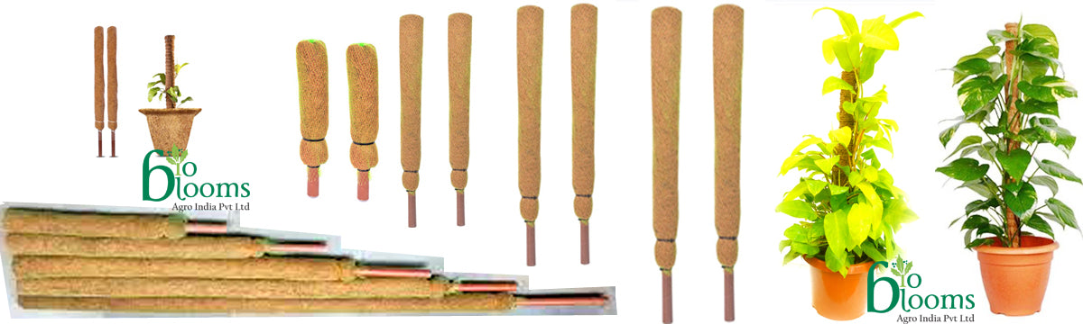 Coco Pole -Moss and Coir Stick for Indoor, House and Plant Creepers Support