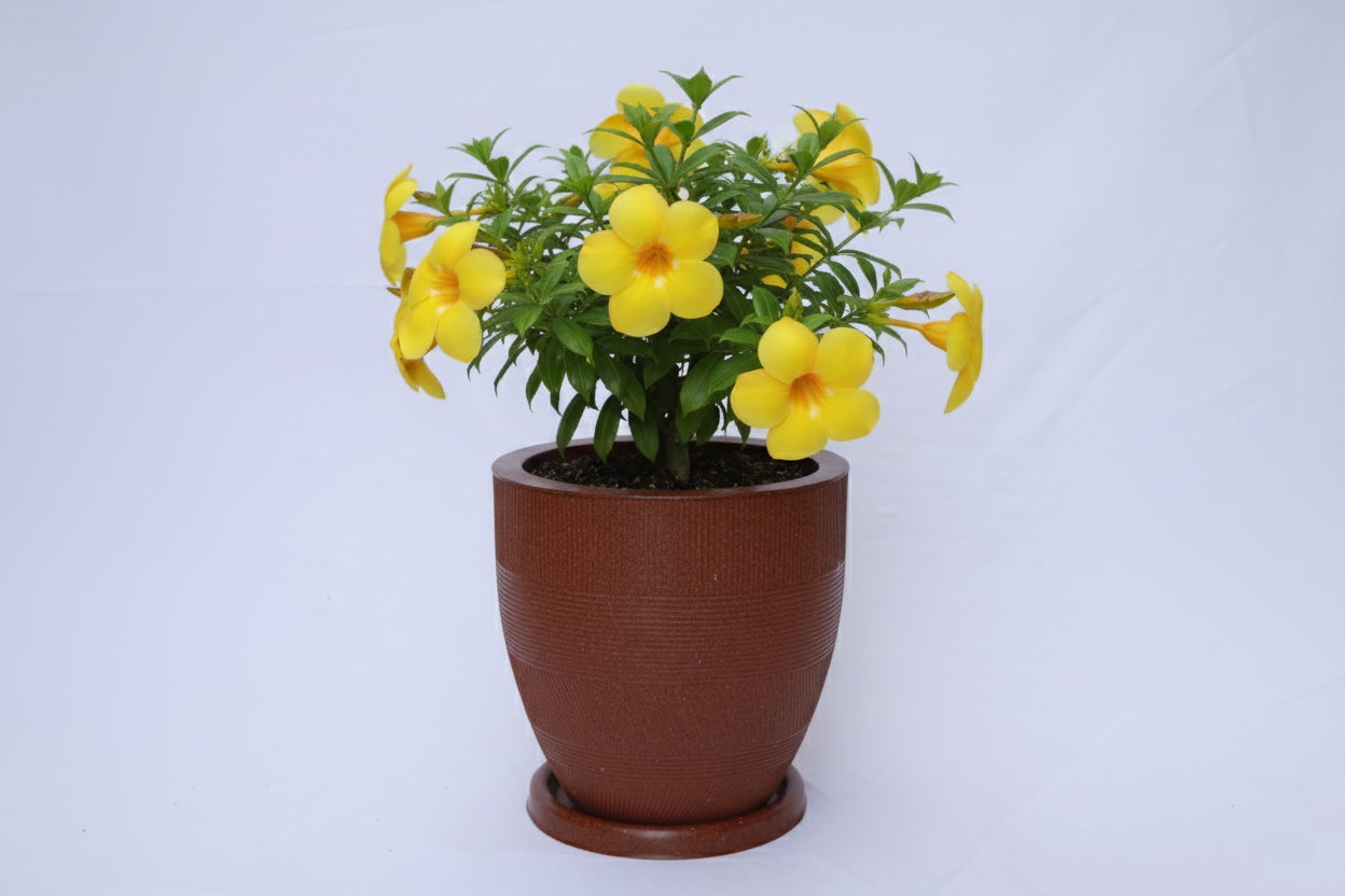 Linear Planters - Modern Decorative Garden Planter Pot with Saucer, Textured Design - Pack of 1