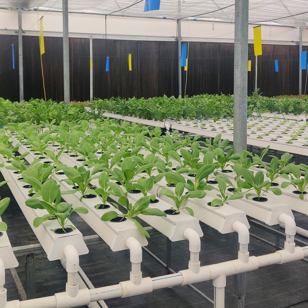 Hydroponics NFT closed chanel 6 meters x pack of 10 pcs
