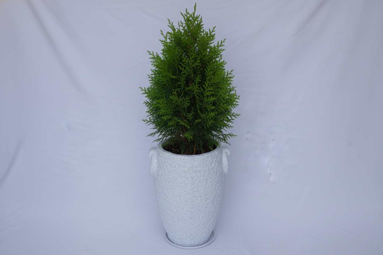 Prachin Stambh - Rotomoulded Garden Planter Pot, Textured Finish, Outdoor & Indoor Use - Pack of 1