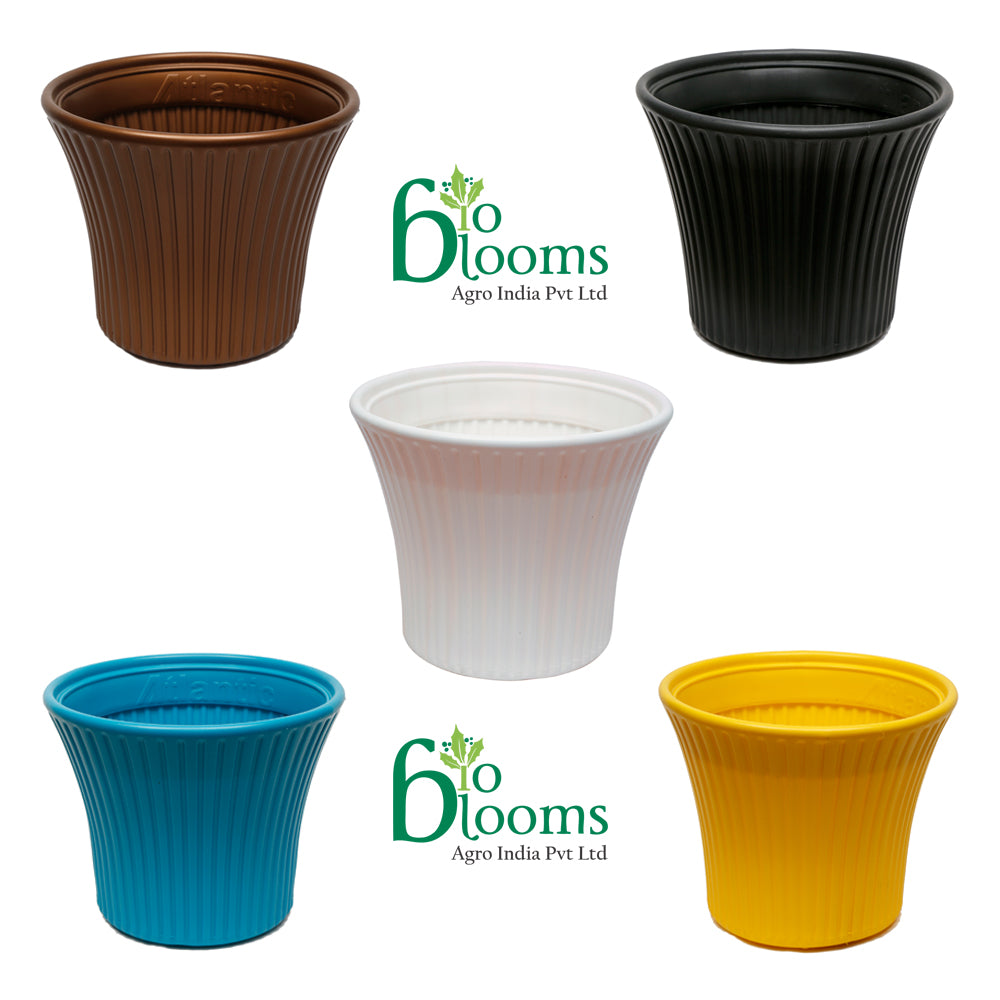 Sunshine Flower Pot, Multicolour, 9