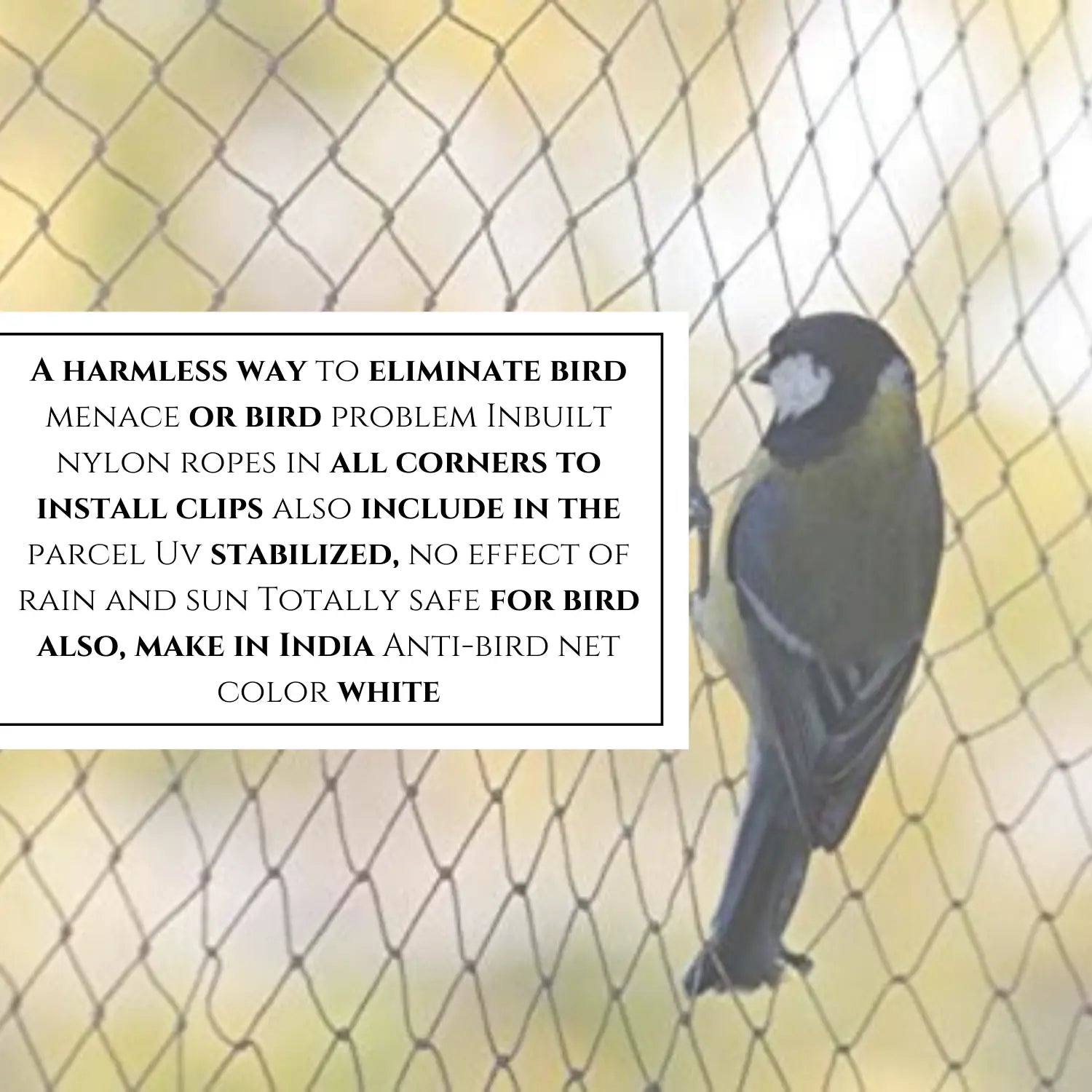 Anti Bird Net,White Color Nylon mesh and (3 mt X 3mt Size)