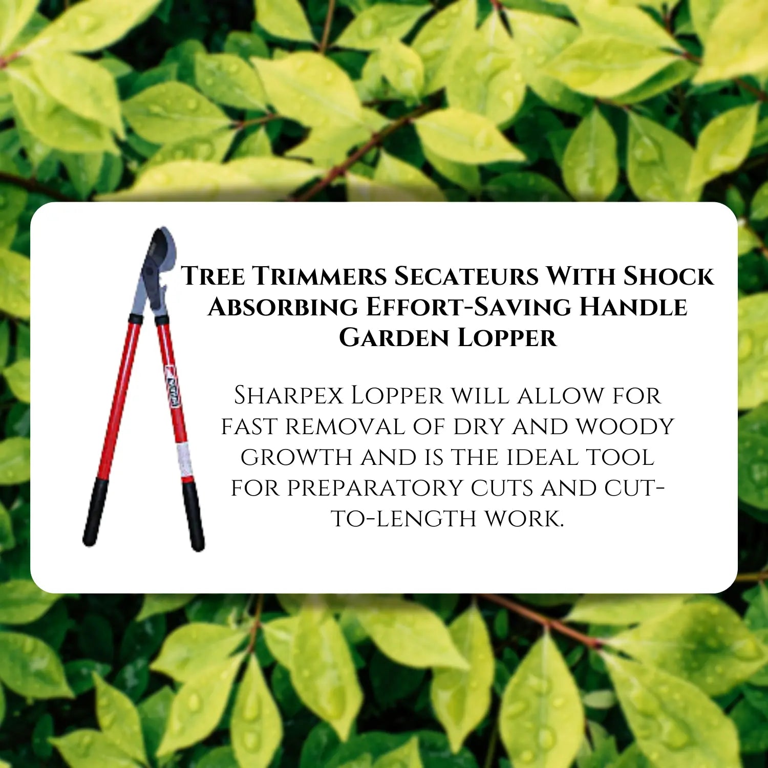 Bypass Lopper with Compound Action, Professional Bypass Lopper, Tree Trimmers Secateurs with Shock Absorbing Effort-Saving Handle Garden Lopper - Pruning Tool
